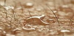 sweating, perspire,sweat rash,how to stop sweating